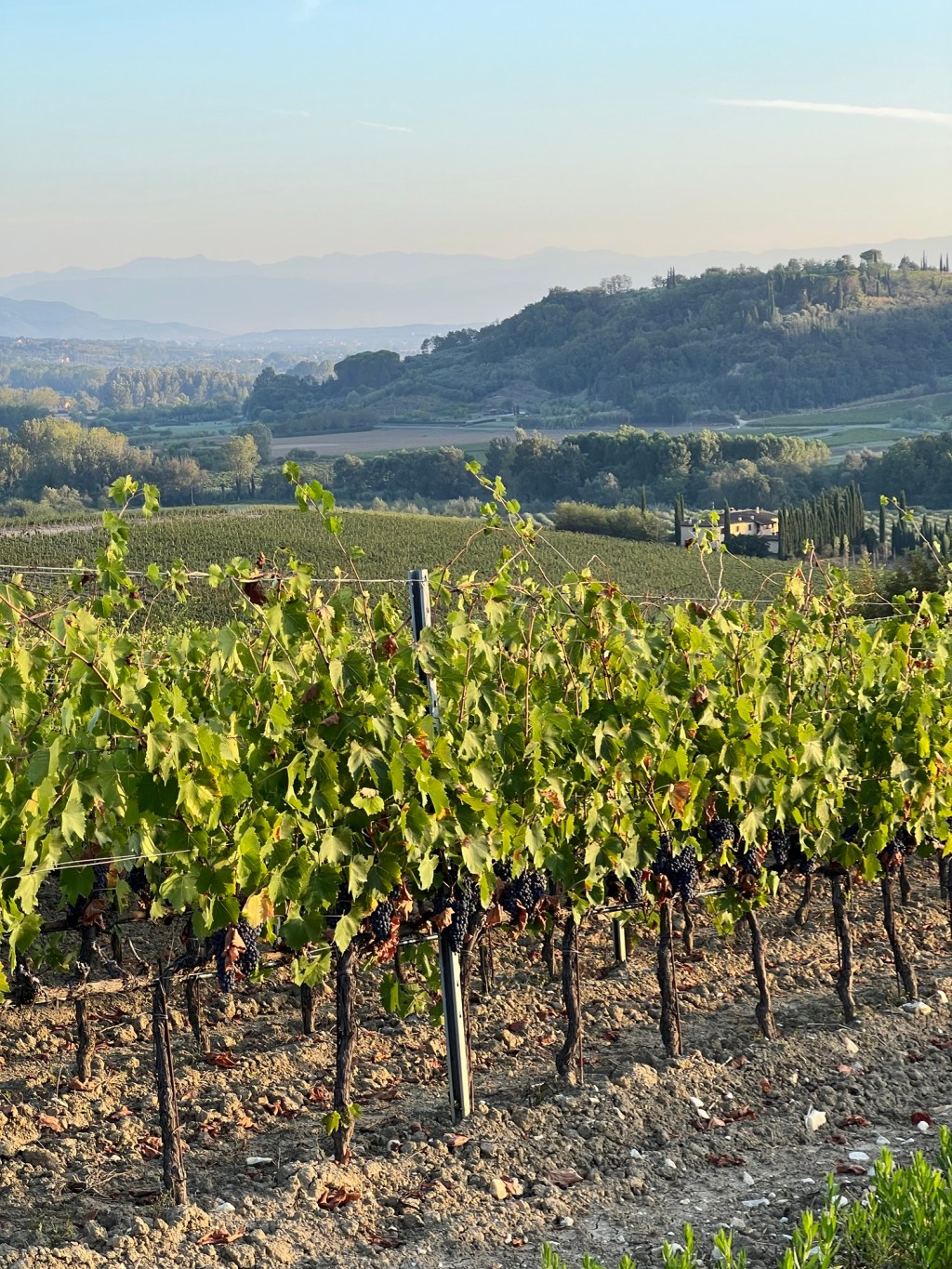 The small checks I always make before I book&nbsp;anything.